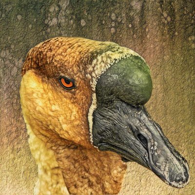 scott4065141447's profile picture. Beep boop