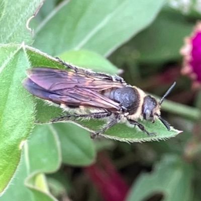 yoshiyama_yuu's profile picture. アニメーター🐸 虫さんは可愛いです。只今お仕事受けられません。描いた絵はほぼ非公式です。無断転載はおやめください https://t.co/4chXhcVj1F