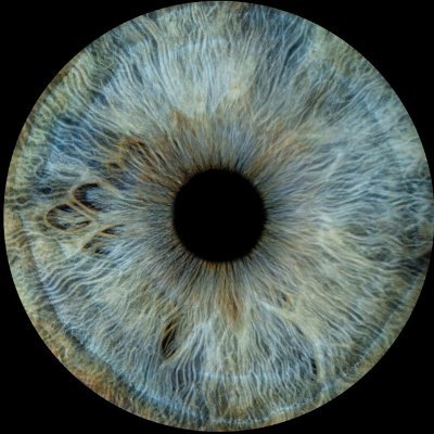 itsweb3world's profile picture. 🪙 Crypto enthusiast |📰 Thread writer | @Polymarket Degen | Ambassador @Arkham