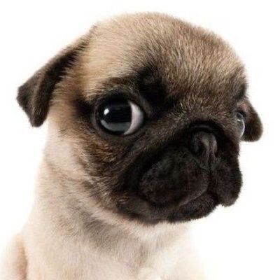 24hoursofmanu's profile picture. 