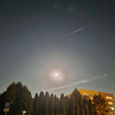 Lesiu0's profile picture. 