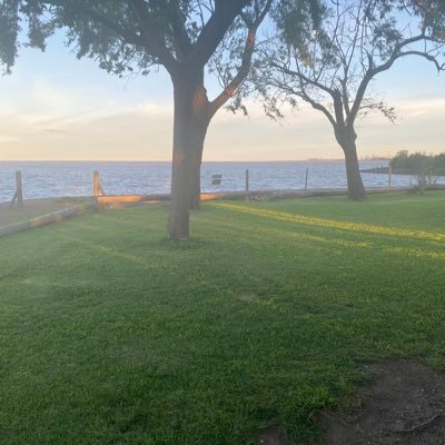 20cristi's profile picture. Laburante, madre, abuela, viajera, voy de frente,la vida es eso remarla en dulce de leche.Trabajo en Salud.