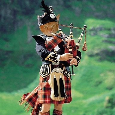 SquirtTheCat's profile picture. https://t.co/puVVvymvdY 
🌈 6 June 2025 🌈
Nemesis of anything that squeaks.
Humble #Purrs4Peace purrkateer.

My book! 😹 https://t.co/gKnJtMECE2