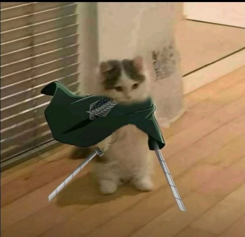 Amour6767's profile picture. 