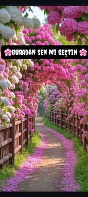 SabriK91699's profile picture. 