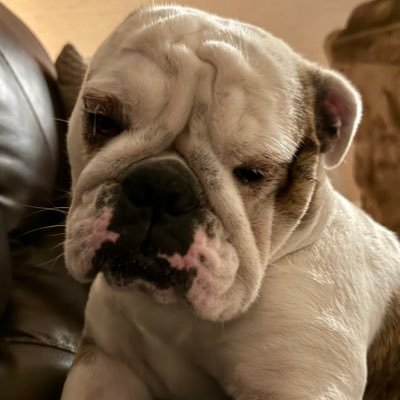 JessicaMykg's profile picture. 