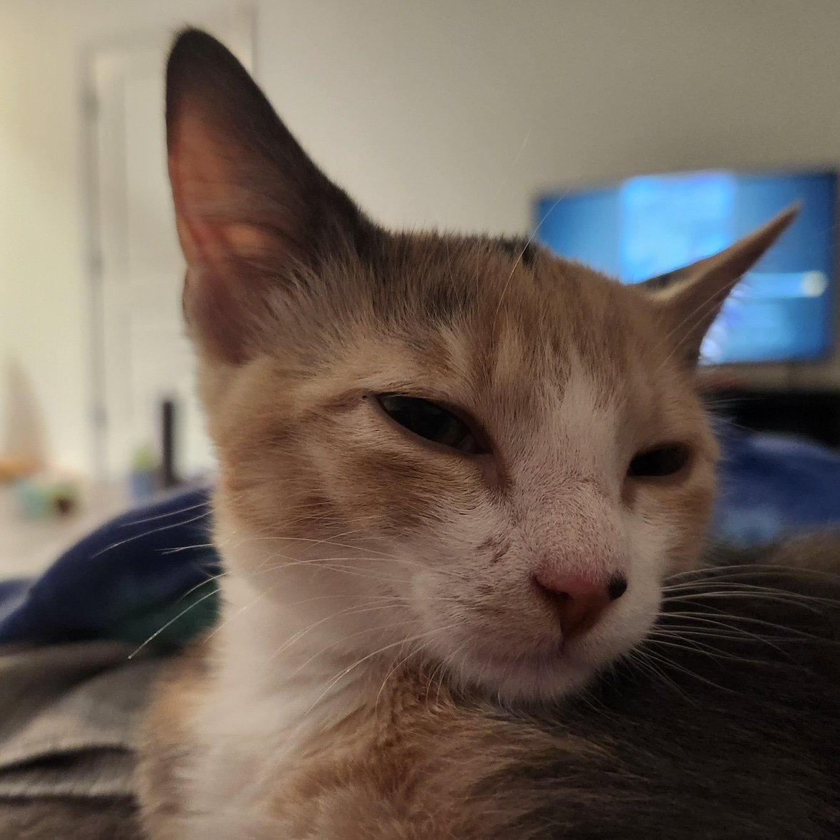 3van_5791's profile picture. 