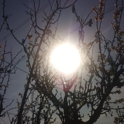 Simolo4's profile picture. Omnia tempus habent 🌚🌍🌞

✨ Innamorata dell'universo✨💫
🌬Francesca🌹