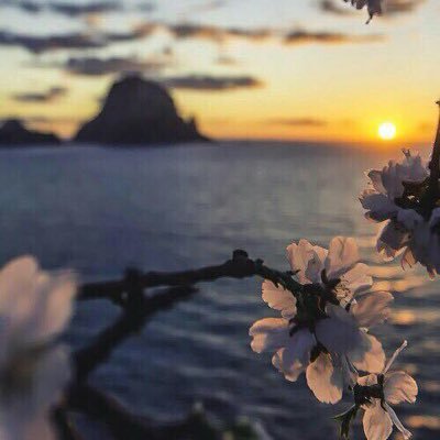 1dDzBbfmFm4BfPo's profile picture. كاتب🖊                                        الشعر صناعة لغوية.. للتعبير عن ذواتنا.. عن إنسانيتنا.. وأحلامنا التائهة..