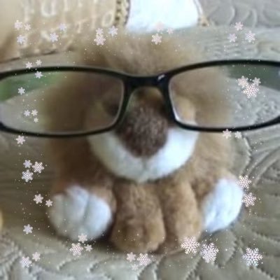 yaoinof's profile picture. ceo of danisnotonfire tboy swag