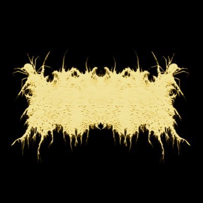 Desecratedwomb's profile picture. Death Metal Collective Formed 2025 | Denver, CO Bookings/Inquiries: gorevaultrecords@gmail.com