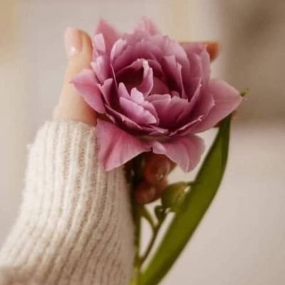 MaraCristi89456's profile picture. 