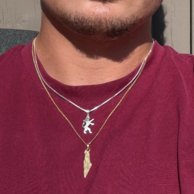 lilbuddymax's profile picture. Iron Dome enthusiast. Gen Z Jewish Canadian. Diaspora life