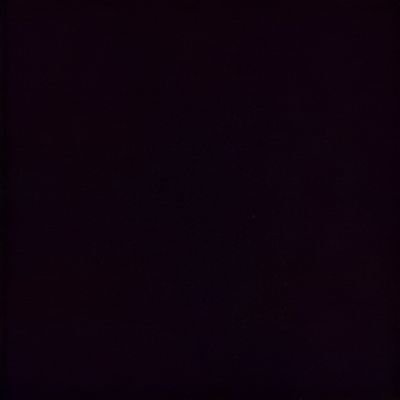 speelcheck's profile picture. 