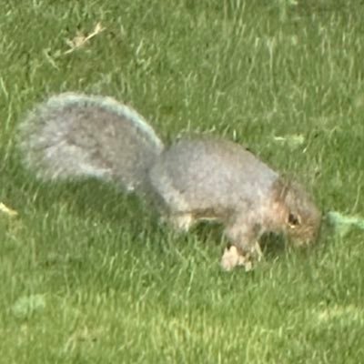 Way_Way_Way_25's profile picture. Undergraduate Computer Science Student. Aspiring C++ Software Engineer. Football Nerd