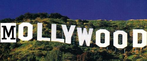 mollywoodreport's profile picture. Hello! tell your friends to add me!