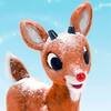 rudolphcoinsol_'s profile picture. Rudolph the Red-Nosed Reindeer