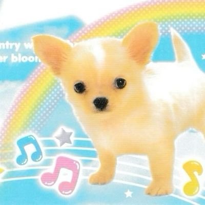 peppinopizza_'s profile picture. 