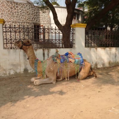 naka_India's profile picture. 30代/名古屋在住/海外赴任経験済(インド)/ITパスポート取得済/QC検定2級取得済/簿記2級取得済/ビジネス会計2級取得済/基本情報技術者取得済/2025年はTOEICと中小企業診断士試験に挑む！！