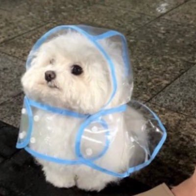 cat48809734's profile picture. who has been supporting Kim BEOMSOO since April 2020～