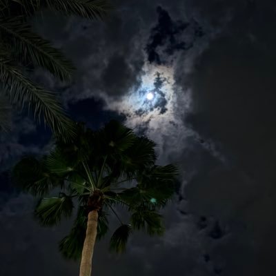 cfillyouin's profile picture. F*** u hacker new account:/