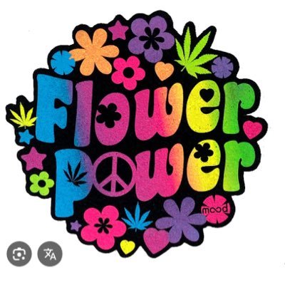 flower13476's profile picture. 