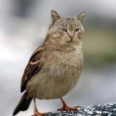 EASTHONG2019's profile picture. 