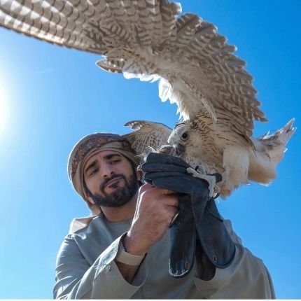 hamdanbinm46855's profile picture. I love creativity