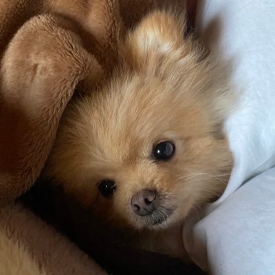 nawana_wa's profile picture. 08 ギター4年目です。多弦が好き