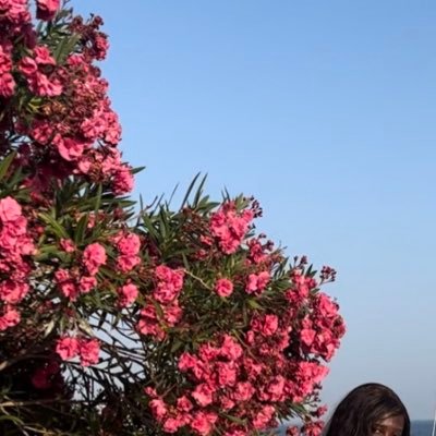 Haaby00's profile picture. 