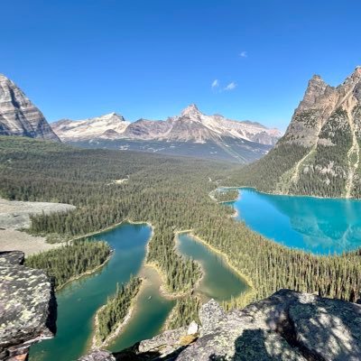 YycElle's profile picture. 