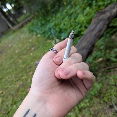 wylrazrbld's profile picture. experimenting in sacred smut and profane love