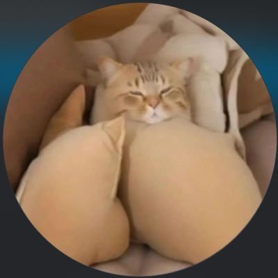 casal_jt's profile picture. 