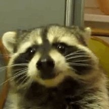 GoobsliceTwitr's profile picture. 16 year old 
dr.pepper addict