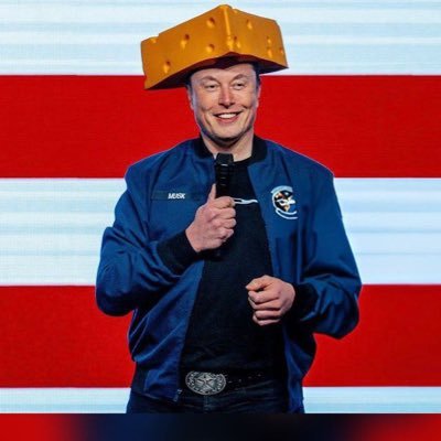 rocket_man03678's profile picture. CEO - SpaceX 🚀Tesla 🚘 Founder - |CO-Founder- Neturalink, OpenAl caring man ❤️