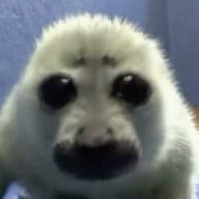 fairiesonpluto's profile picture. head full of nothing