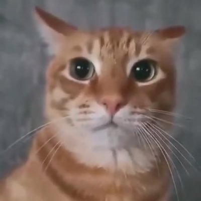 VendettaMain's profile picture. inactive, suck my dick