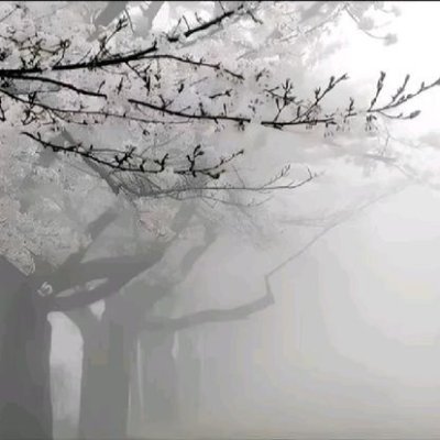 hedifnx's profile picture. 