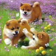 erica2540's profile picture. あなたがすでにどれほど恵まれているかに心を取り戻してください。感謝すべきことは常にありま す。🌹❤️❤️🧸