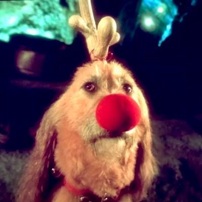 medusashome's profile picture. the great impersonator