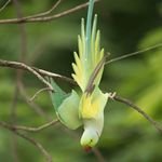 BioRider42278's profile picture. 🎯 Ben yoruldum hayat 🏹