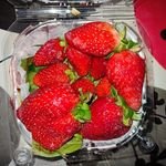 engine_ori34810's profile picture. 🛠️ Sanatçı 🛡️