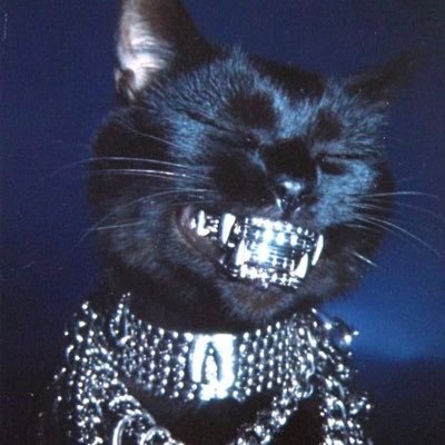 _samylIe's profile picture. eu amo meu namorado