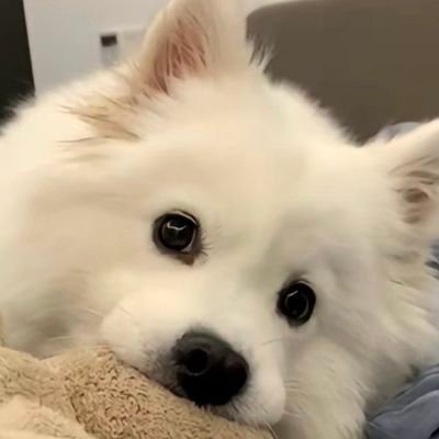 cpohpu2's profile picture. 🥺( bounprem winnysatang perthsanta
pondphuwin stampaunt savefranc seakeen forcebook Barcodekin DaouOffroad)  🏠                          

➡️หลัก@cpohpu 𓆞 𓆝