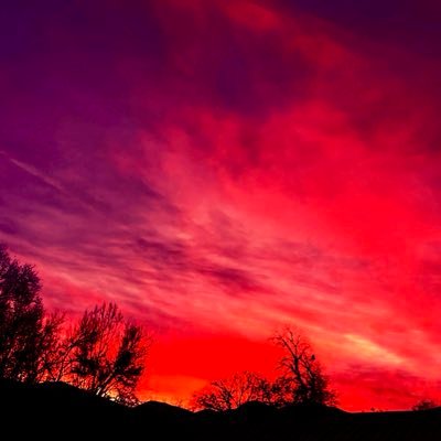 daniell89855757's profile picture. I love talking Pictures Sunset and Sunrise 📸🙌🏻Collect hot Wheels cars and Lowrider my dad have 64 Chevy impala❤️💙🤍Go Giants✨♥️🖤