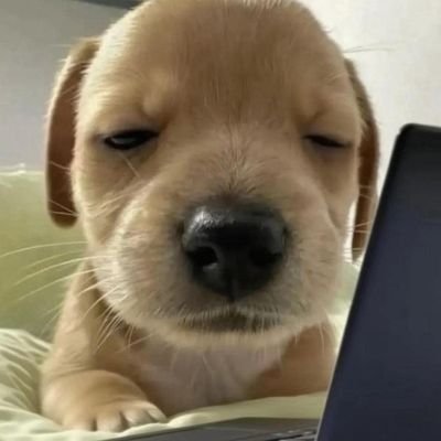 mebut_conna's profile picture. มีบอท กด all ticket Thai ticket popmart