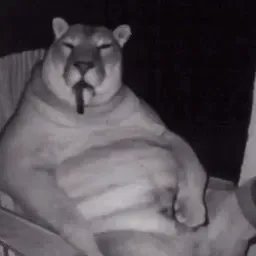 Evex25's profile picture. 