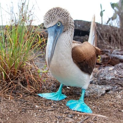 JFangold22776's profile picture. Great investments are uncommon.