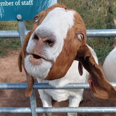 W1NGNUT37's profile picture. Brummie now living in Notts. Getting on with it and enjoying some footy,gaming and a few craft ales along the way