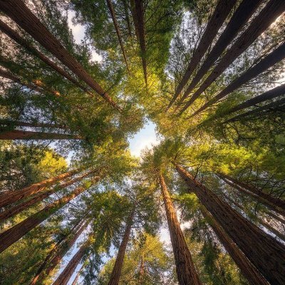 kkk134532's profile picture. 